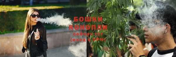 ПСИЛОЦИБИНОВЫЕ ГРИБЫ Балахна