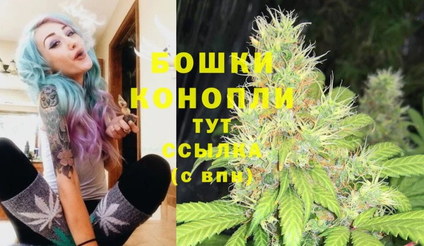трава Аркадак
