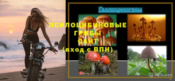 трава Армянск